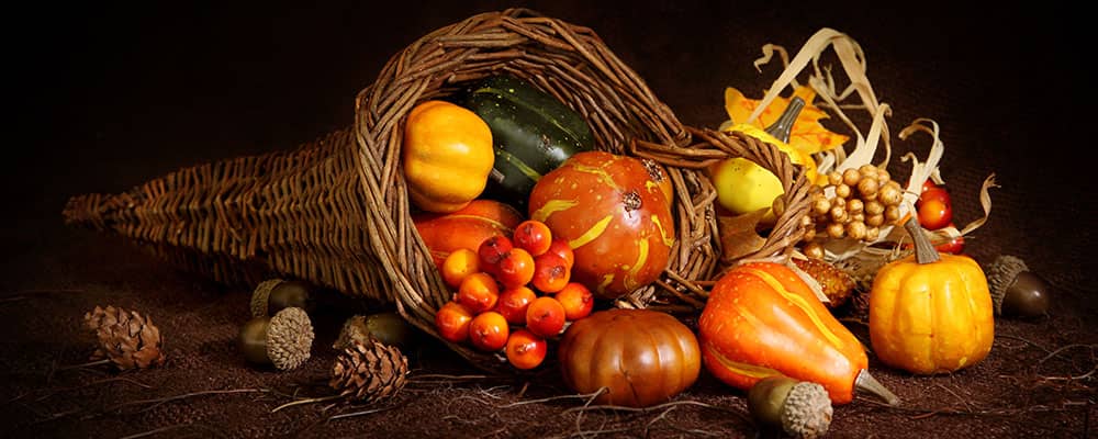cornucopia