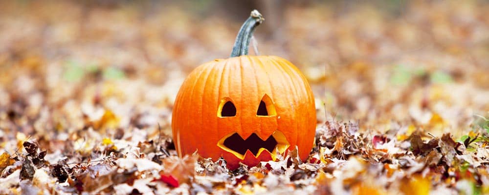 jack o'latern sitting on of leaves