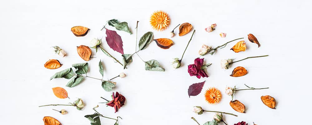 potpourri